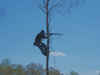 Battles at Manassas 2009