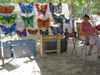 Fourth of July 09 Gordonia Alatamaha