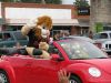 TCHS Homecoming Parade 09